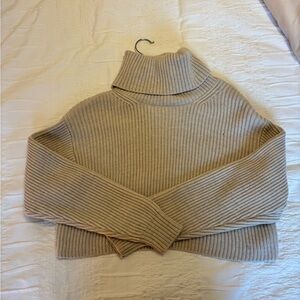Aritzia cropped knit turtleneck